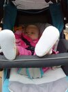 DSC01501.jpg