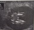 IMG-20240124-WA0007.jpg