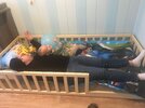 IMG_6452.jpeg