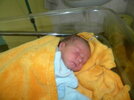 DSCN0837.jpg