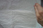 P1050067.jpg