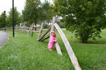 IMG_8659.jpg