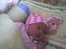 DSC00010.jpg