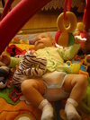 DSC01406.jpg