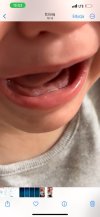 IMG_1816.jpeg