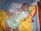 100_3084.jpg