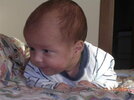DSCN5282.jpg DSCN5282.jpg