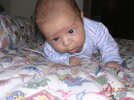 DSCN5275.jpg DSCN5275.jpg