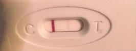 IMG_7687.jpeg