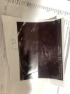 IMG_2464.jpeg