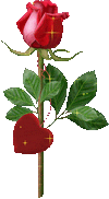 roze.gif