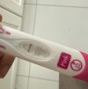 IMG_8506.jpeg