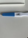 IMG_5088.jpeg