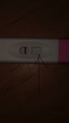 IMG_2634.jpeg