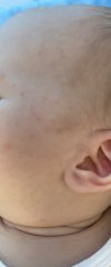 IMG_2122.jpeg