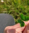 IMG_20250520_171433.jpg