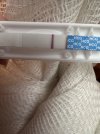 IMG_0966.jpeg