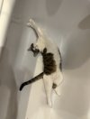 IMG_7282.jpeg