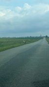 IMG_0039.jpeg