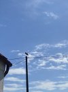 IMG_8586.jpeg