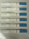 IMG_7919.jpeg