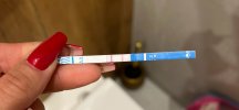 IMG_8079.jpeg