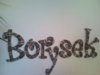 boryseknascianie.jpg