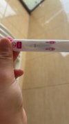 IMG_2586.jpeg