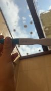 IMG_2601.jpeg