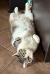 IMG_9321.jpeg