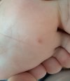 20250718_122614.jpg