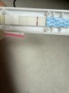 IMG_3575.jpeg