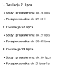 Screenshot_20250728-145233.ChatGPT (1).png