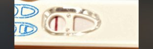 IMG_4743.jpeg