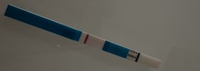 IMG_2787.jpeg