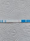 IMG20250807100213.jpg