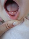 IMG_20250811_123654.jpg