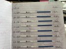 IMG_7348.jpeg