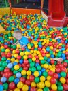 IMG_20250804_125601518.jpg
