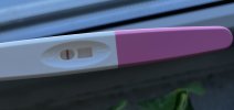 IMG_4501.jpeg