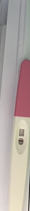 IMG_4502.jpeg