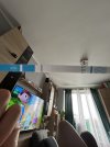 IMG_7440.jpeg