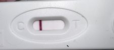 IMG_3474.jpeg
