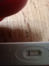 IMG_20250830_163326270_MFNR.jpg
