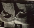 IMG_3200.jpeg