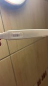 IMG_0387.jpeg