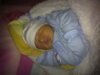 20101123245.jpg
