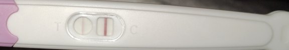 IMG_20250918_122501.jpg