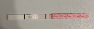 IMG_9850.jpeg