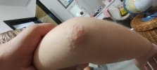 IMG_20250924_201902968.jpg